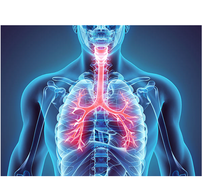 Respiratory Physiotherapy Image