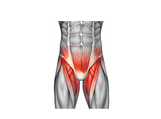 Rectus - Adductor Syndrome Image